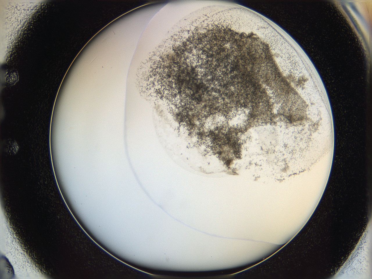 06bp_E2_ImagerDefaults_3.jpg