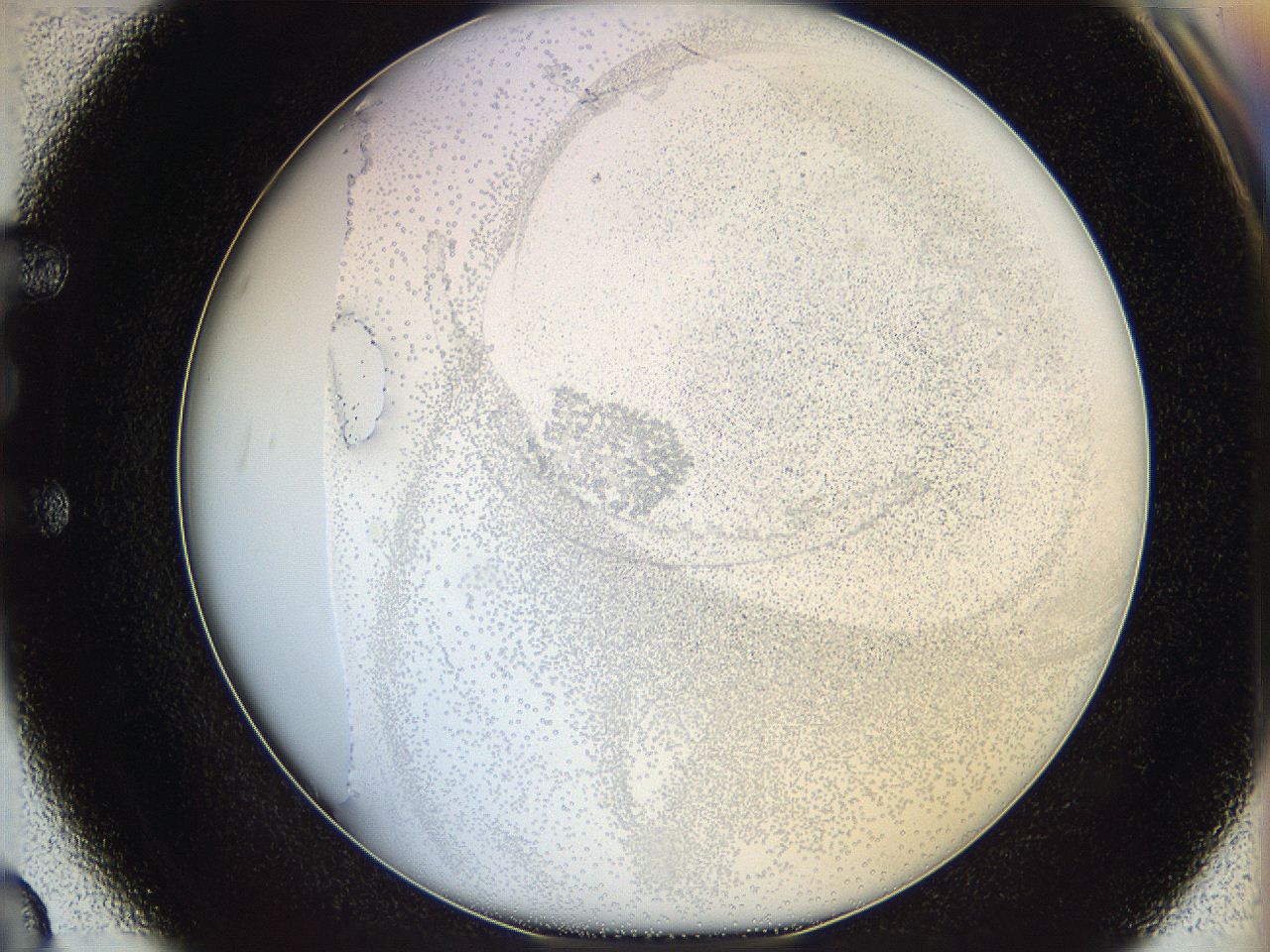 06bp_E3_ImagerDefaults_2.jpg