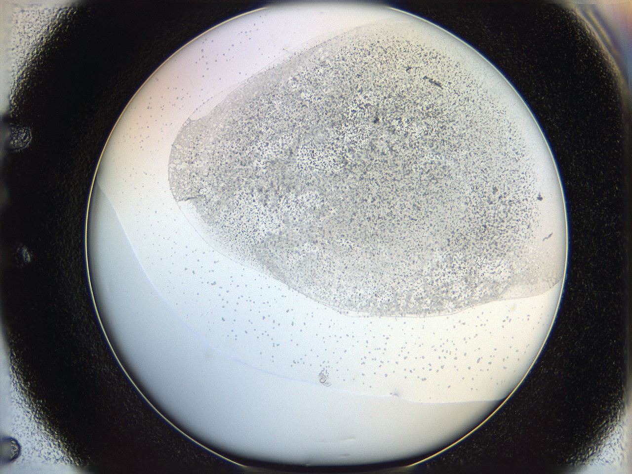06bp_E5_ImagerDefaults_2.jpg