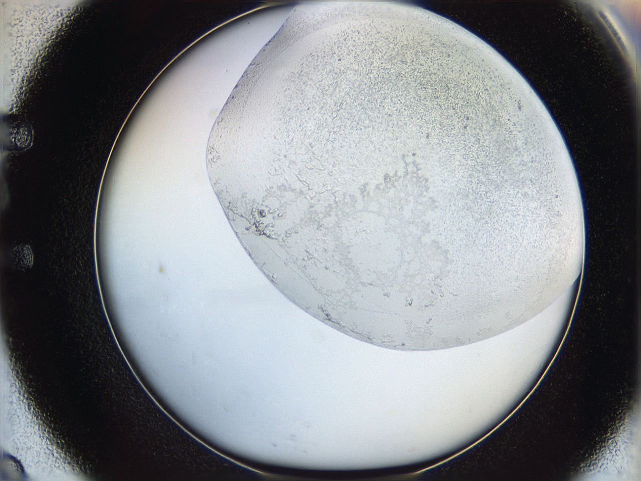 06bp_E9_ImagerDefaults_2.jpg