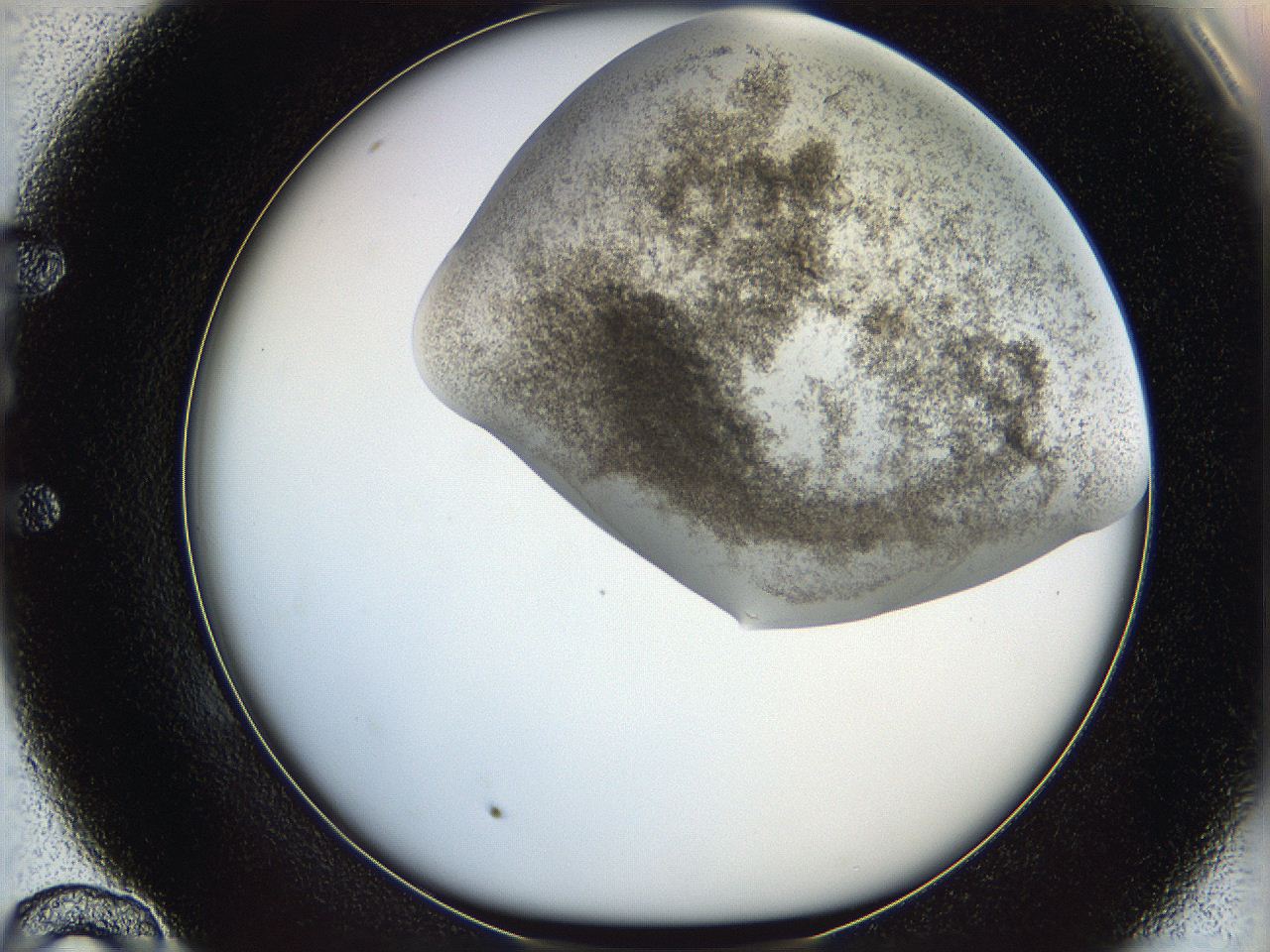 06bp_E10_ImagerDefaults_3.jpg