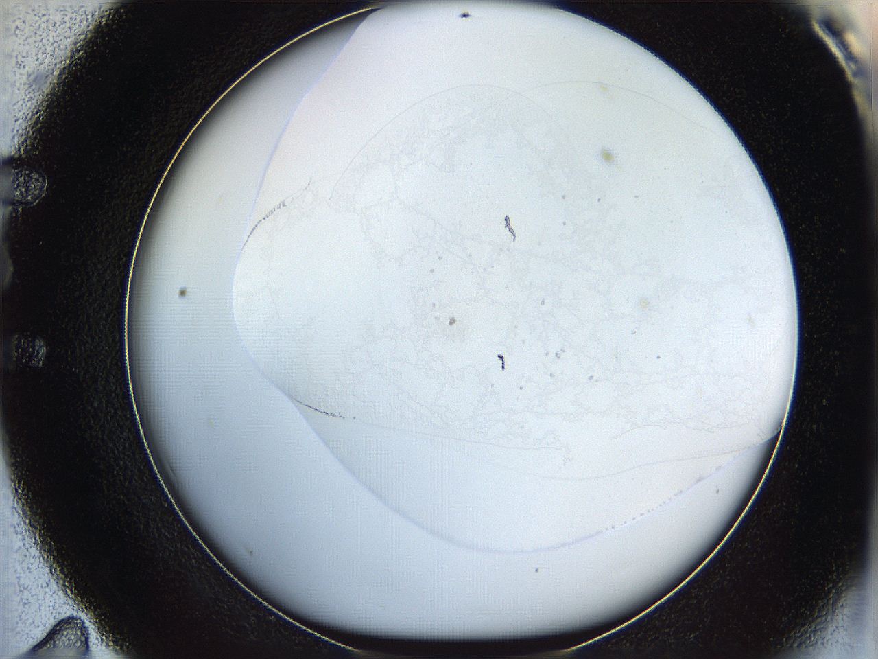 06bp_E11_ImagerDefaults_0.jpg