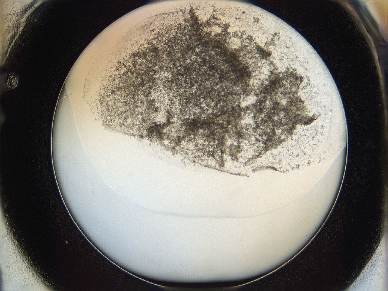 06bp_F1_ImagerDefaults_3.jpg
