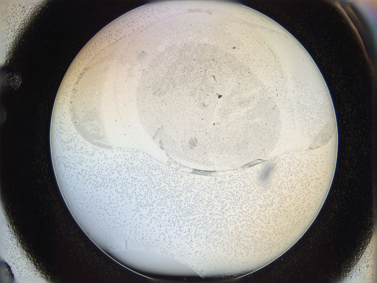 06bp_F3_ImagerDefaults_2.jpg