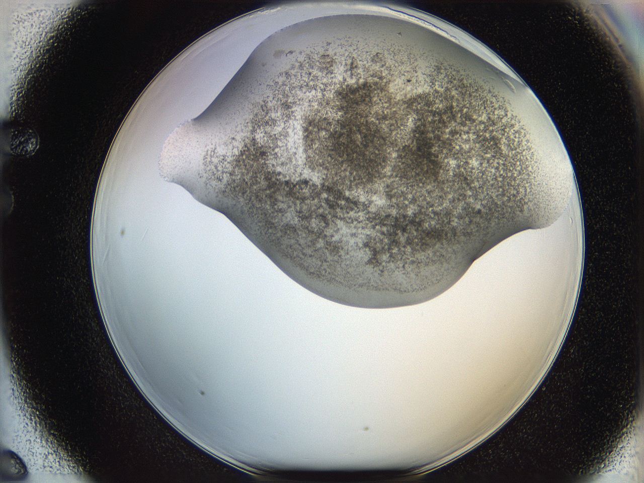 06bp_F6_ImagerDefaults_3.jpg