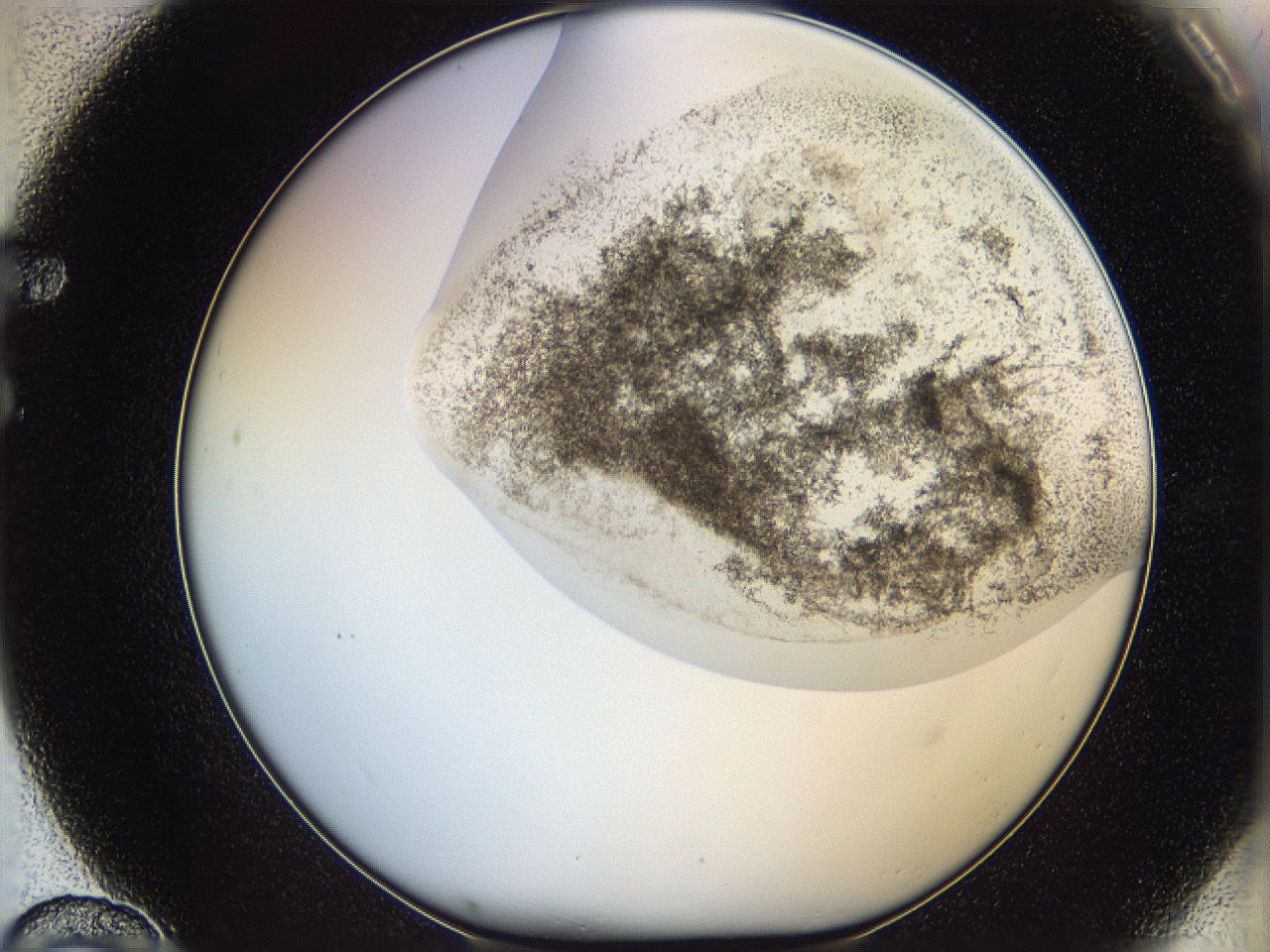 06bp_F10_ImagerDefaults_3.jpg