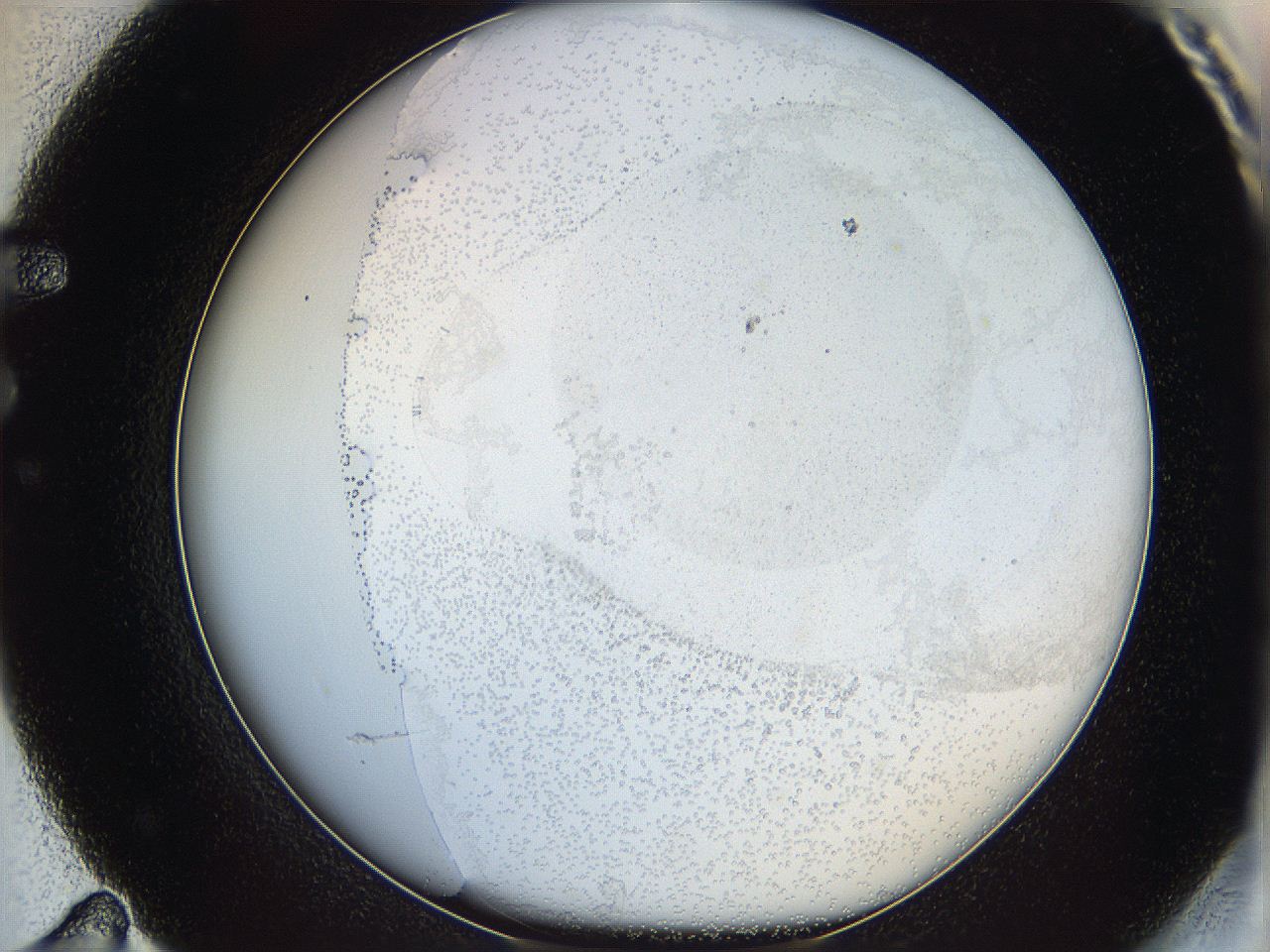 06bp_F11_ImagerDefaults_2.jpg