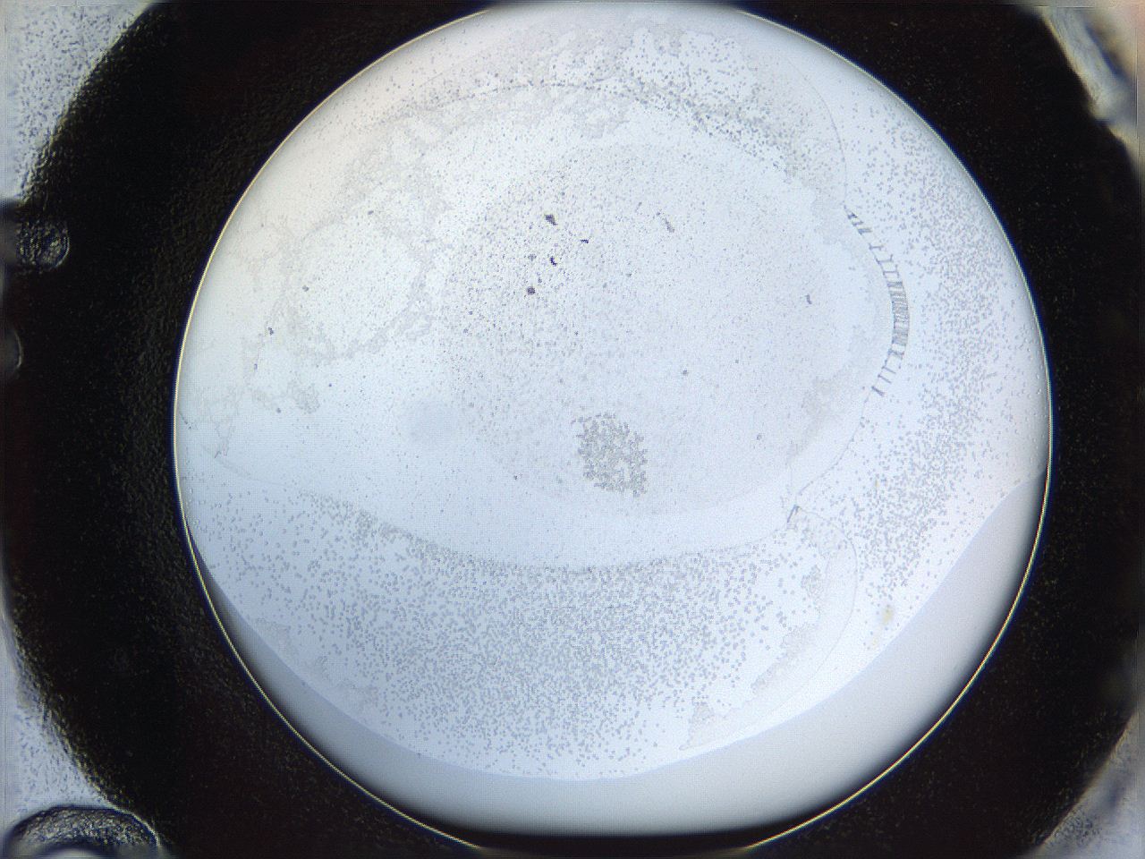 06bp_F12_ImagerDefaults_2.jpg