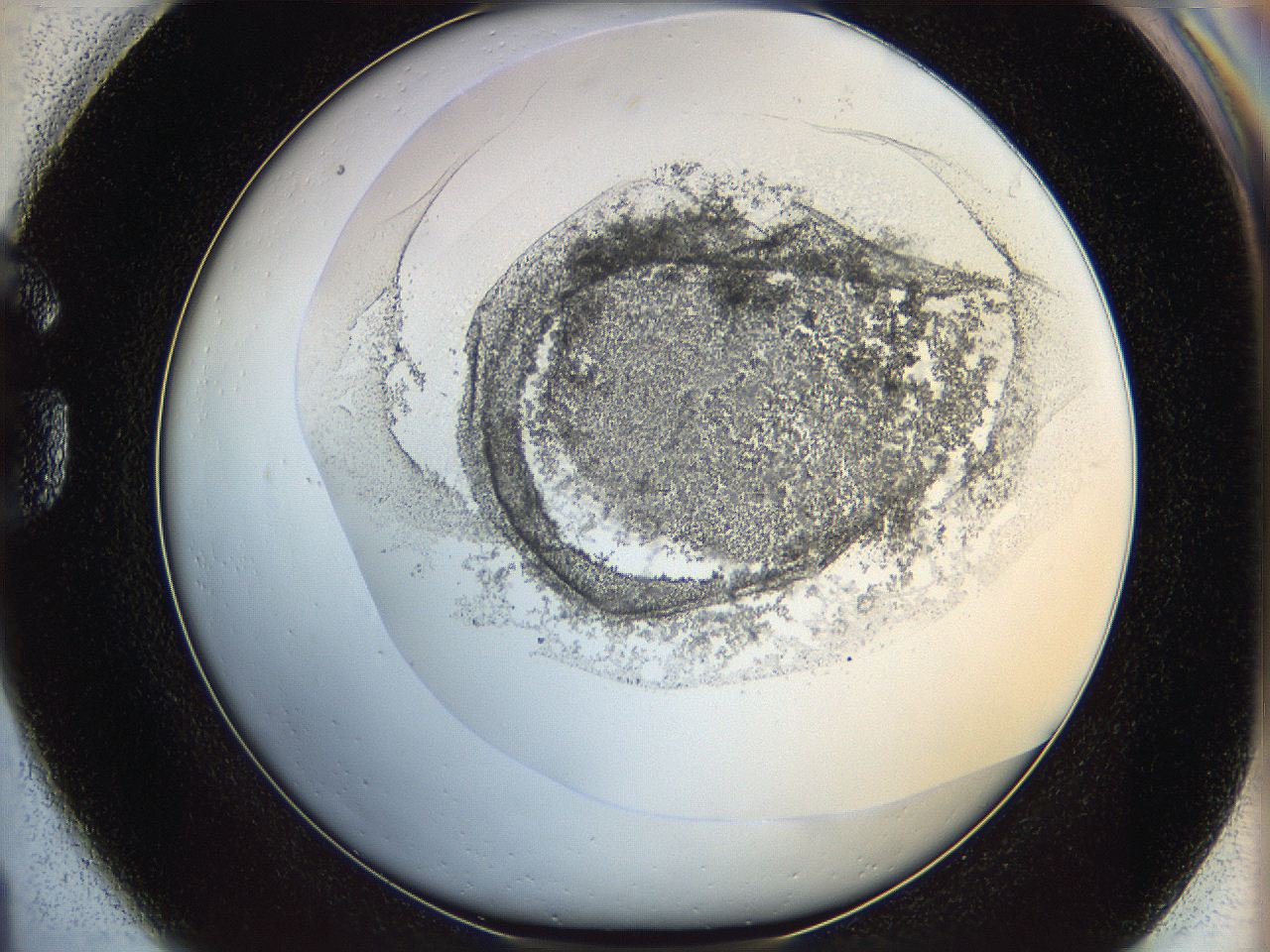 06bp_G1_ImagerDefaults_3.jpg