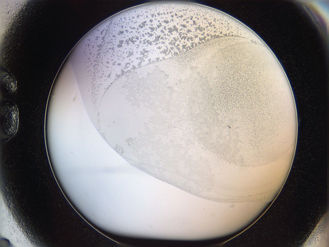 06bp_G9_ImagerDefaults_0.jpg