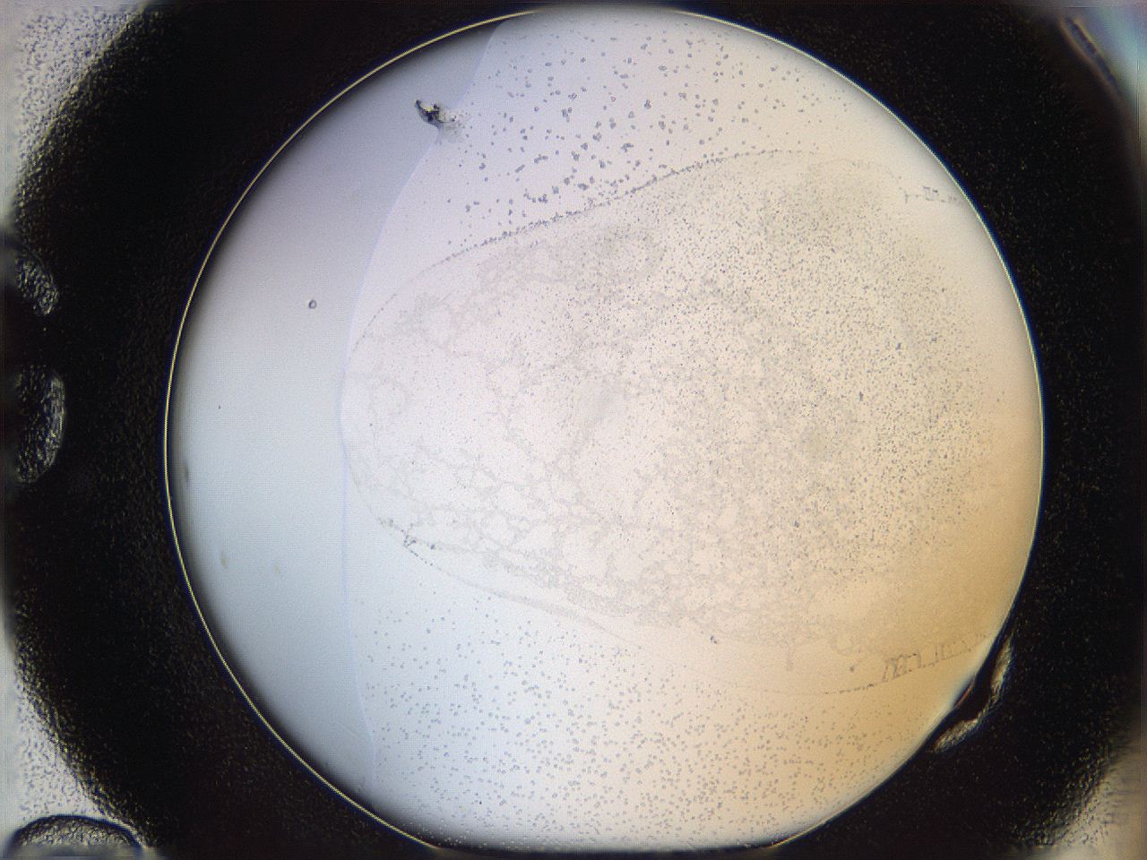 06bp_G10_ImagerDefaults_0.jpg