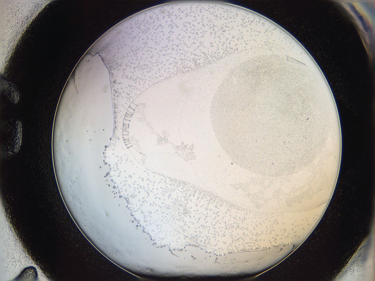 06bp_G11_ImagerDefaults_6.jpg