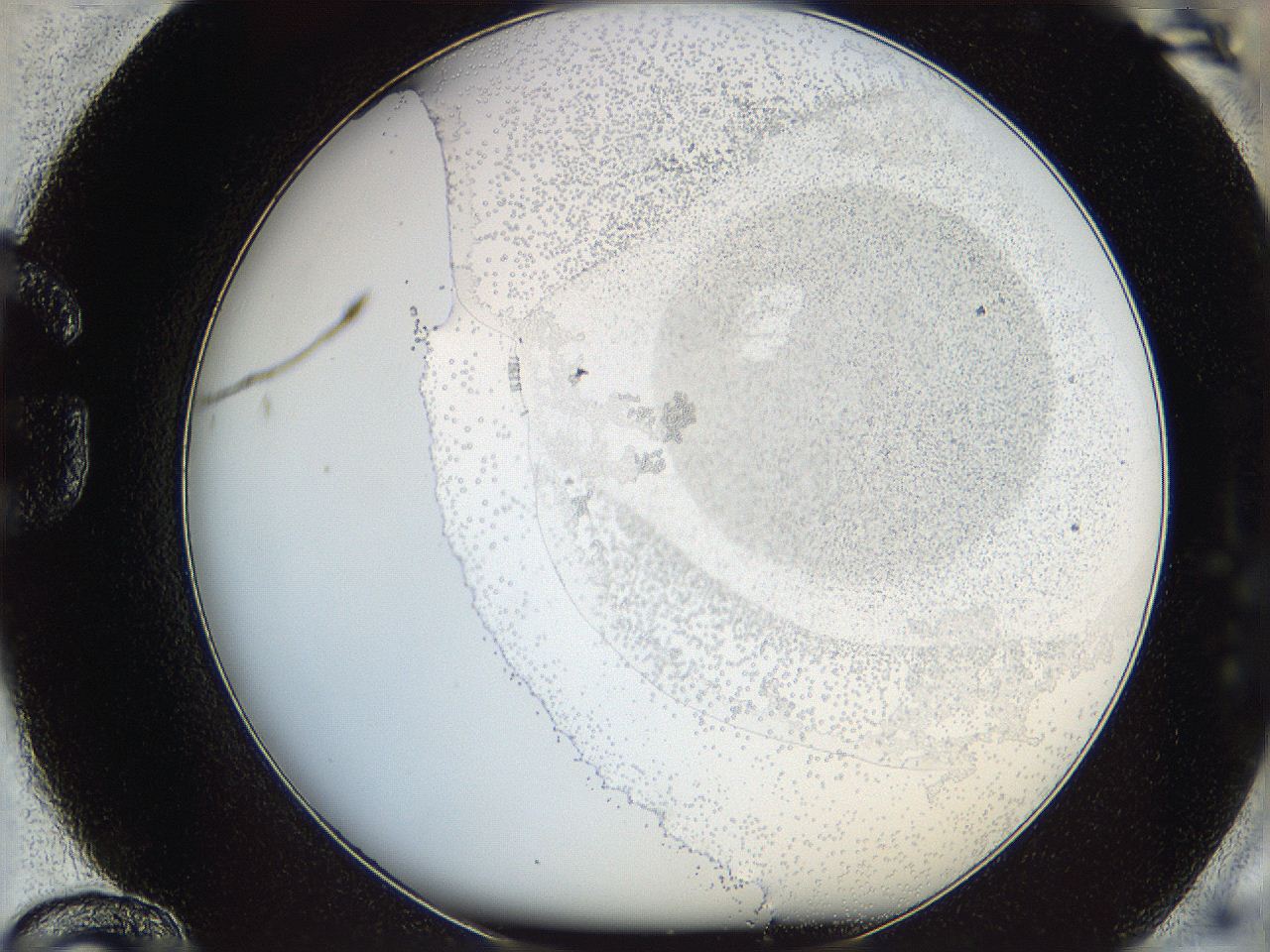 06bp_G12_ImagerDefaults_6.jpg