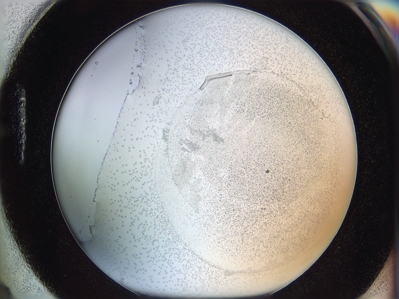 06bp_H4_ImagerDefaults_6.jpg
