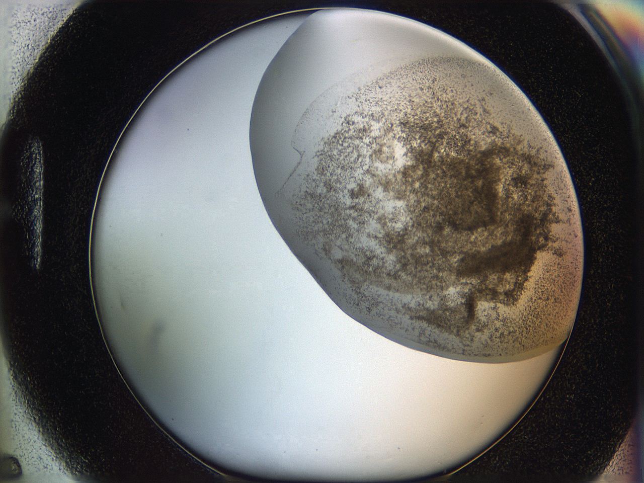 06bp_H5_ImagerDefaults_3.jpg