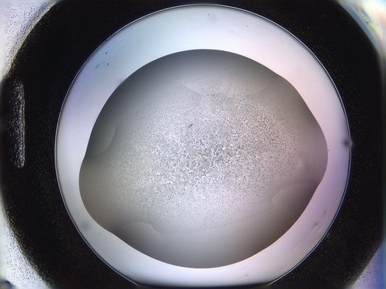 06bp_H8_ImagerDefaults_2.jpg