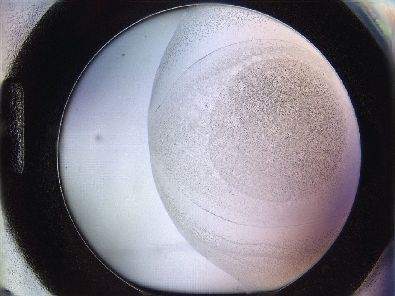 06bp_H9_ImagerDefaults_2.jpg