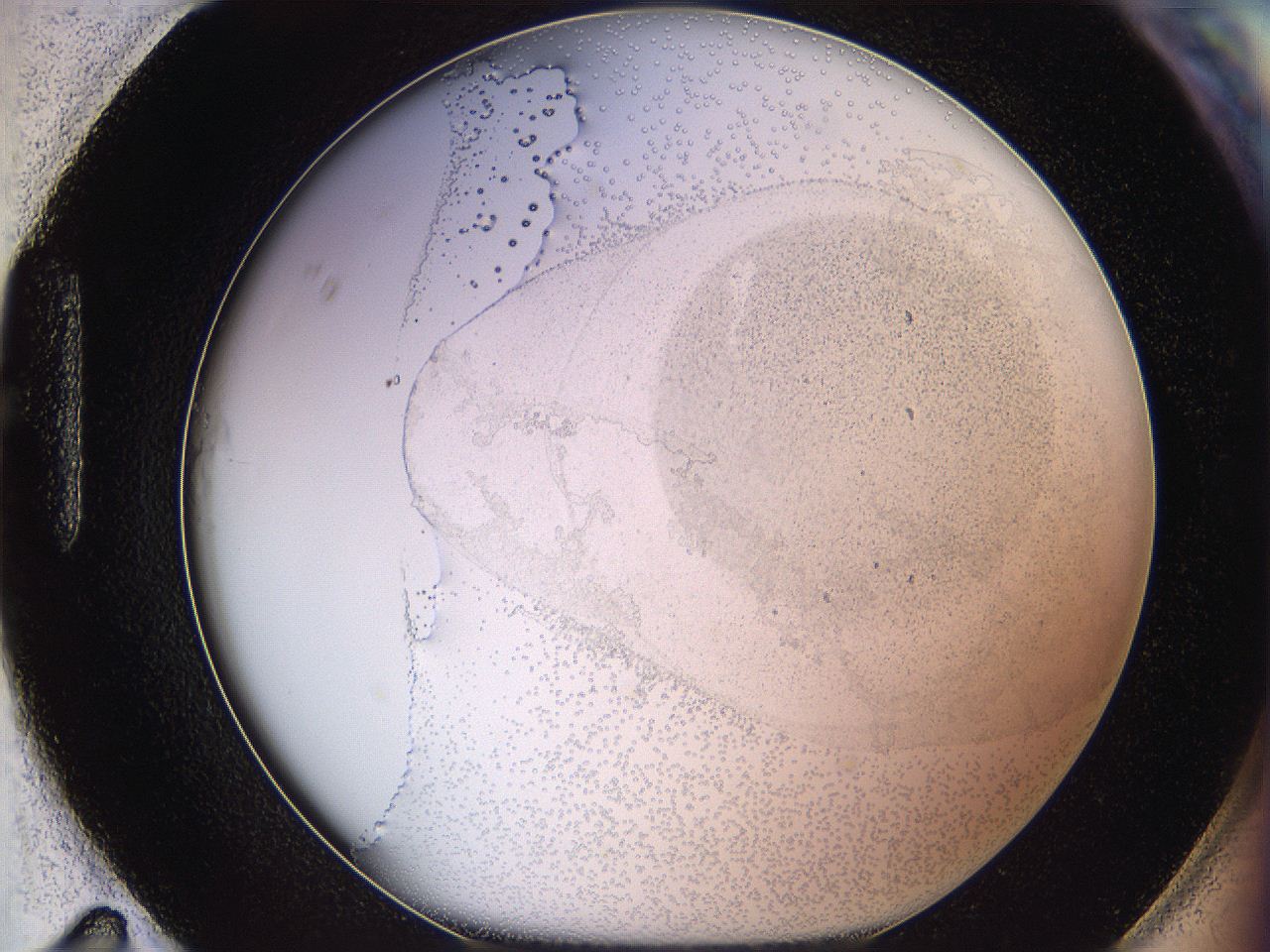 06bp_H11_ImagerDefaults_2.jpg