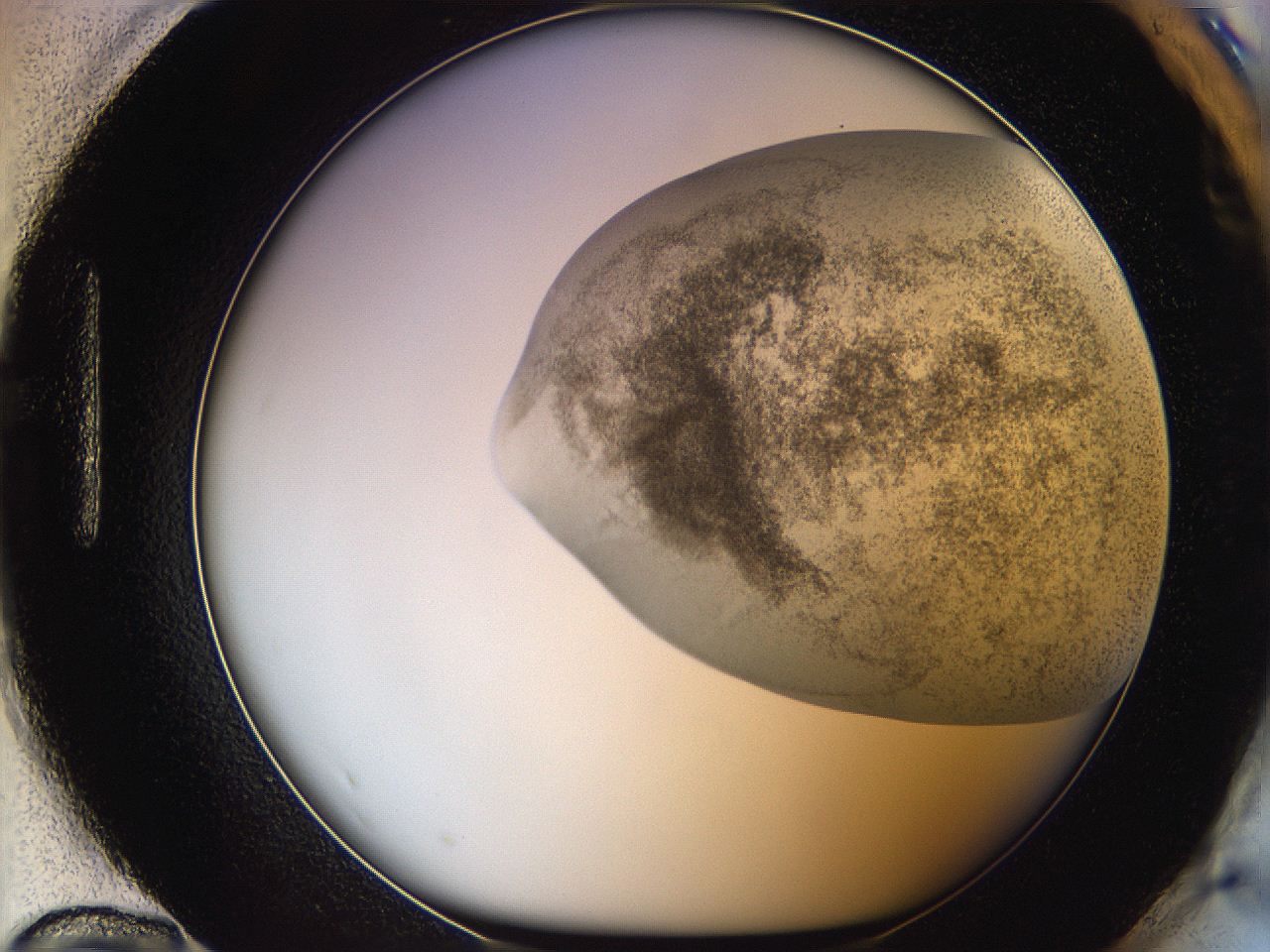 06bp_H12_ImagerDefaults_3.jpg