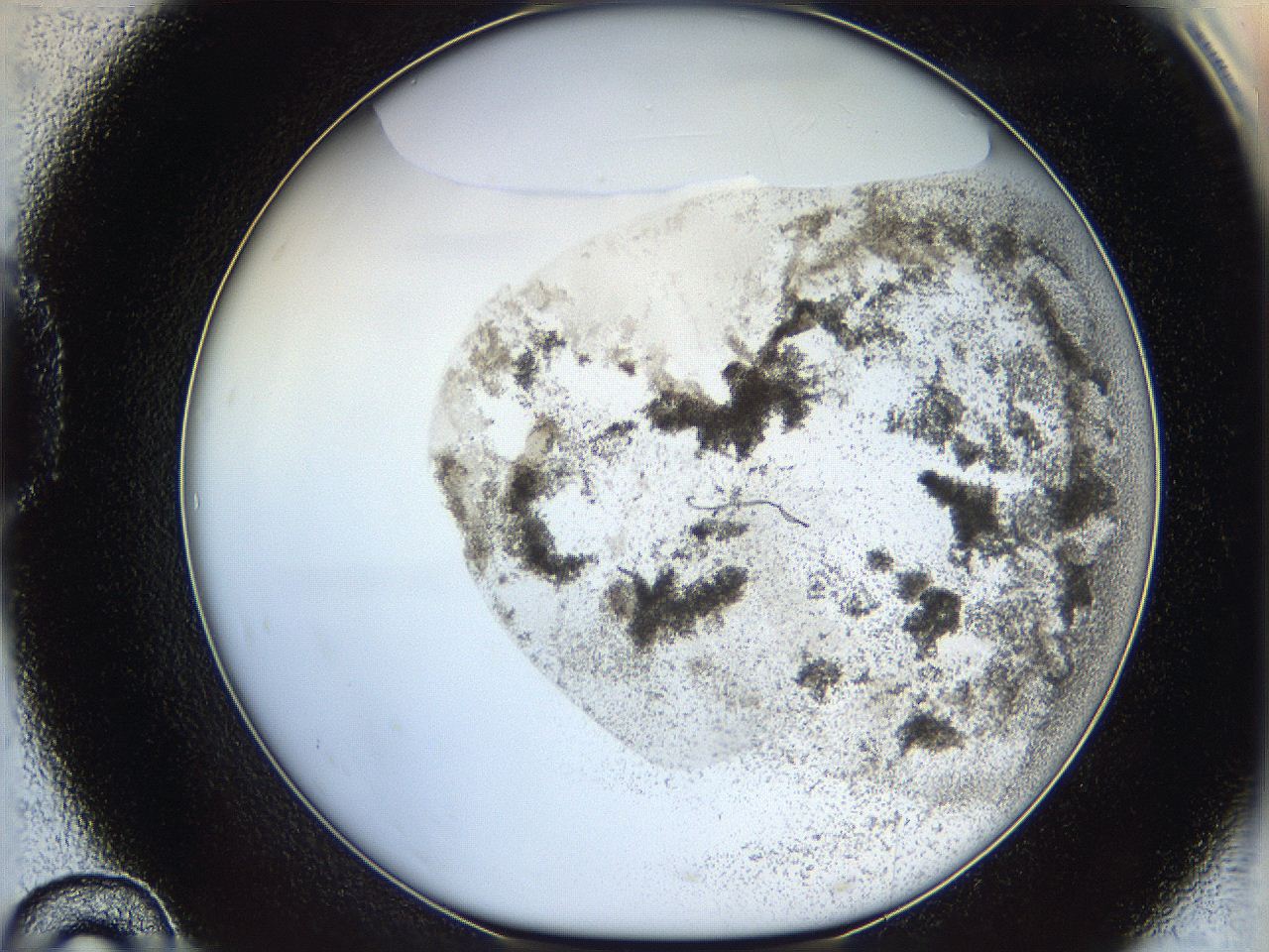 06bq_D10_ImagerDefaults_3.jpg