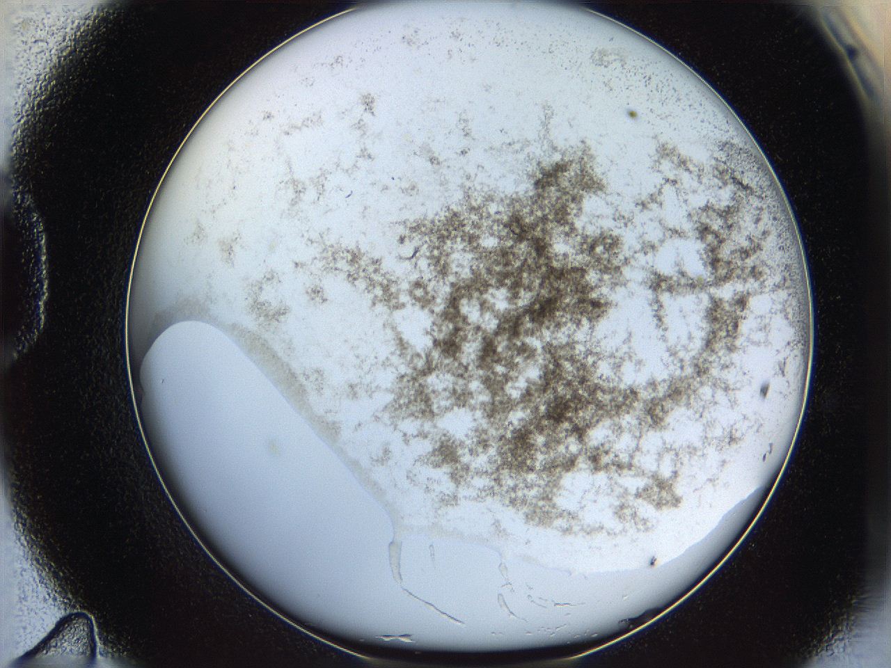 06bq_D11_ImagerDefaults_3.jpg