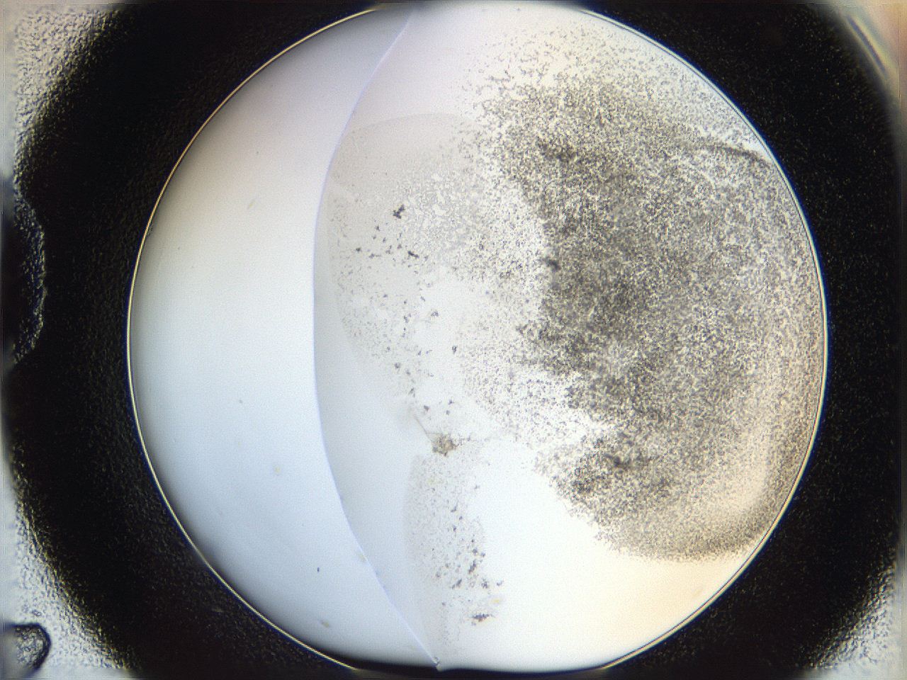 06bq_D7_ImagerDefaults_3.jpg