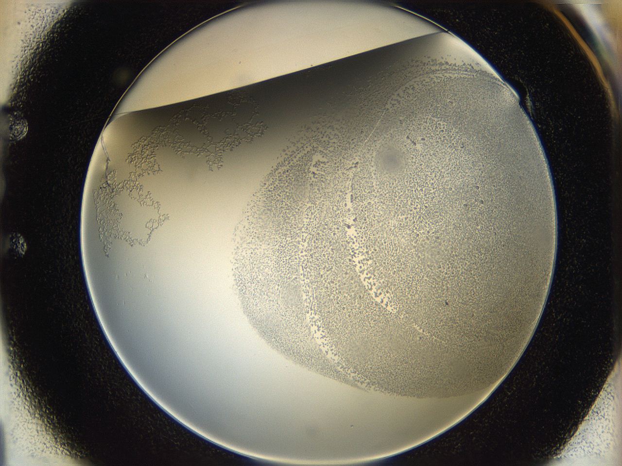 06bq_E1_ImagerDefaults_5.jpg
