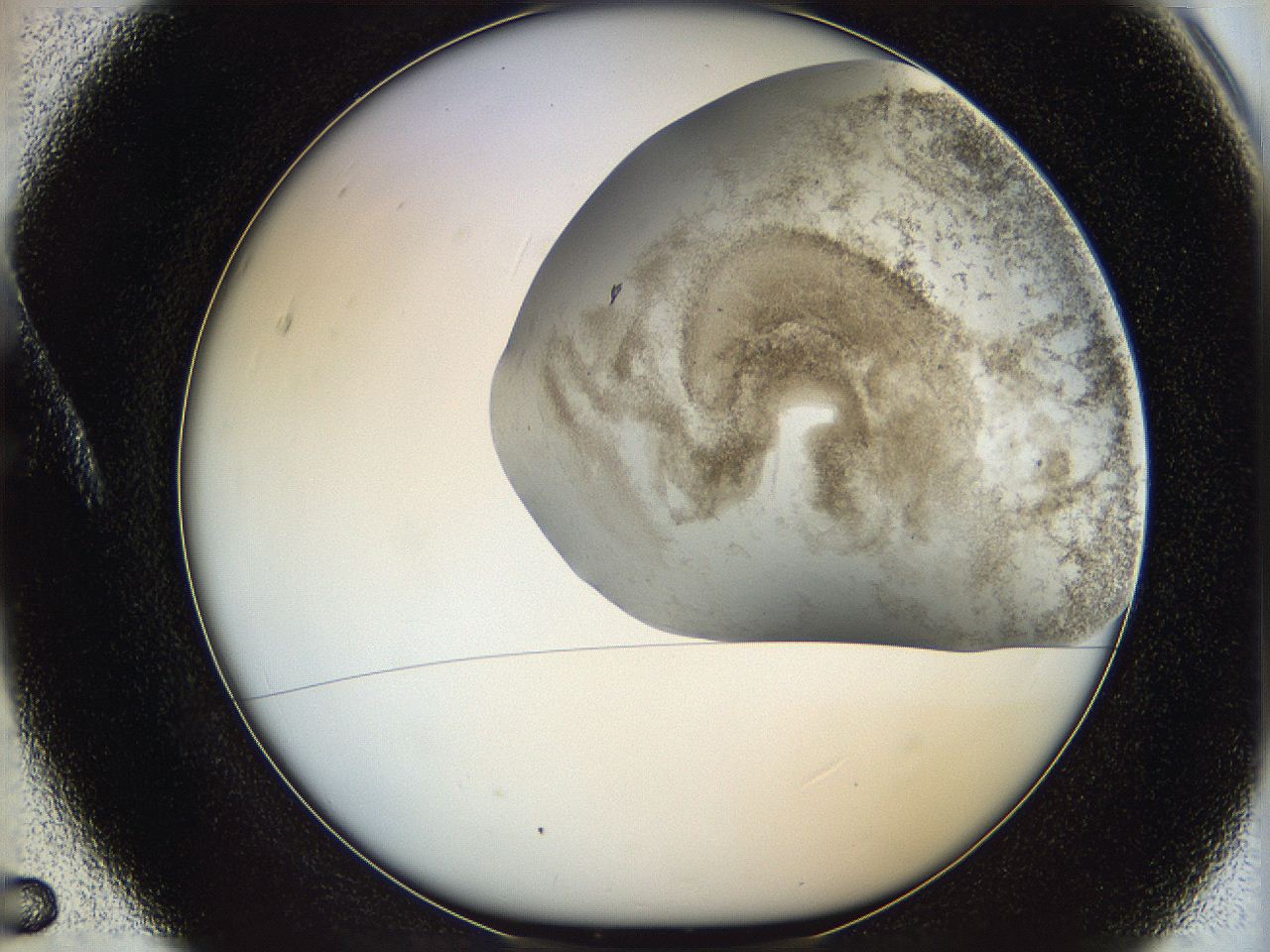 06bq_A5_ImagerDefaults_3.jpg