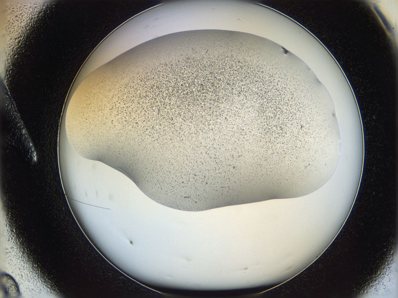 06bq_A8_ImagerDefaults_2.jpg