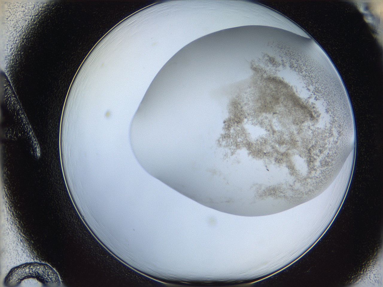 06bq_A12_ImagerDefaults_3.jpg
