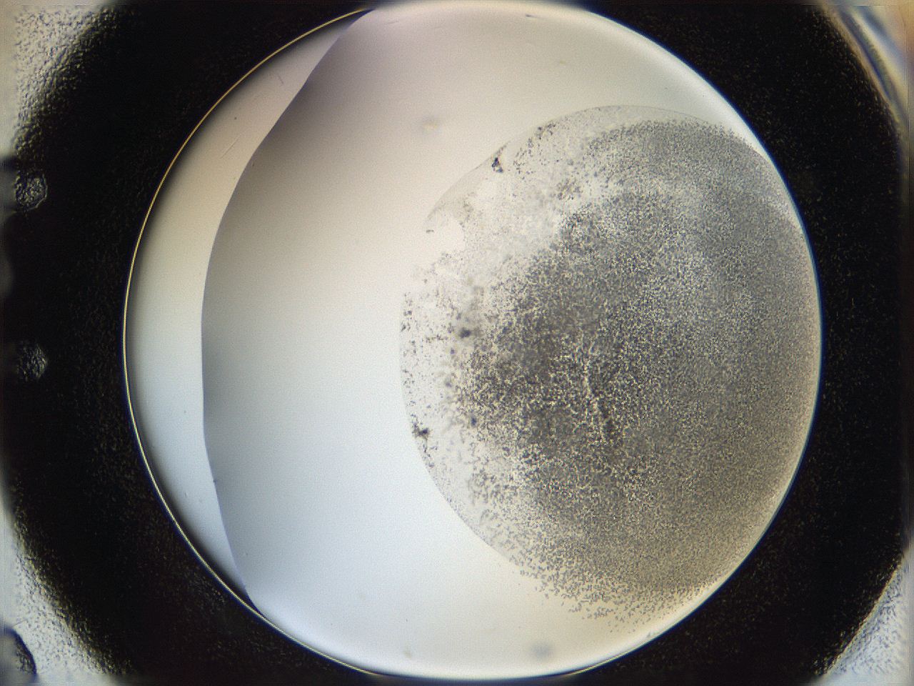 06bq_E2_ImagerDefaults_3.jpg