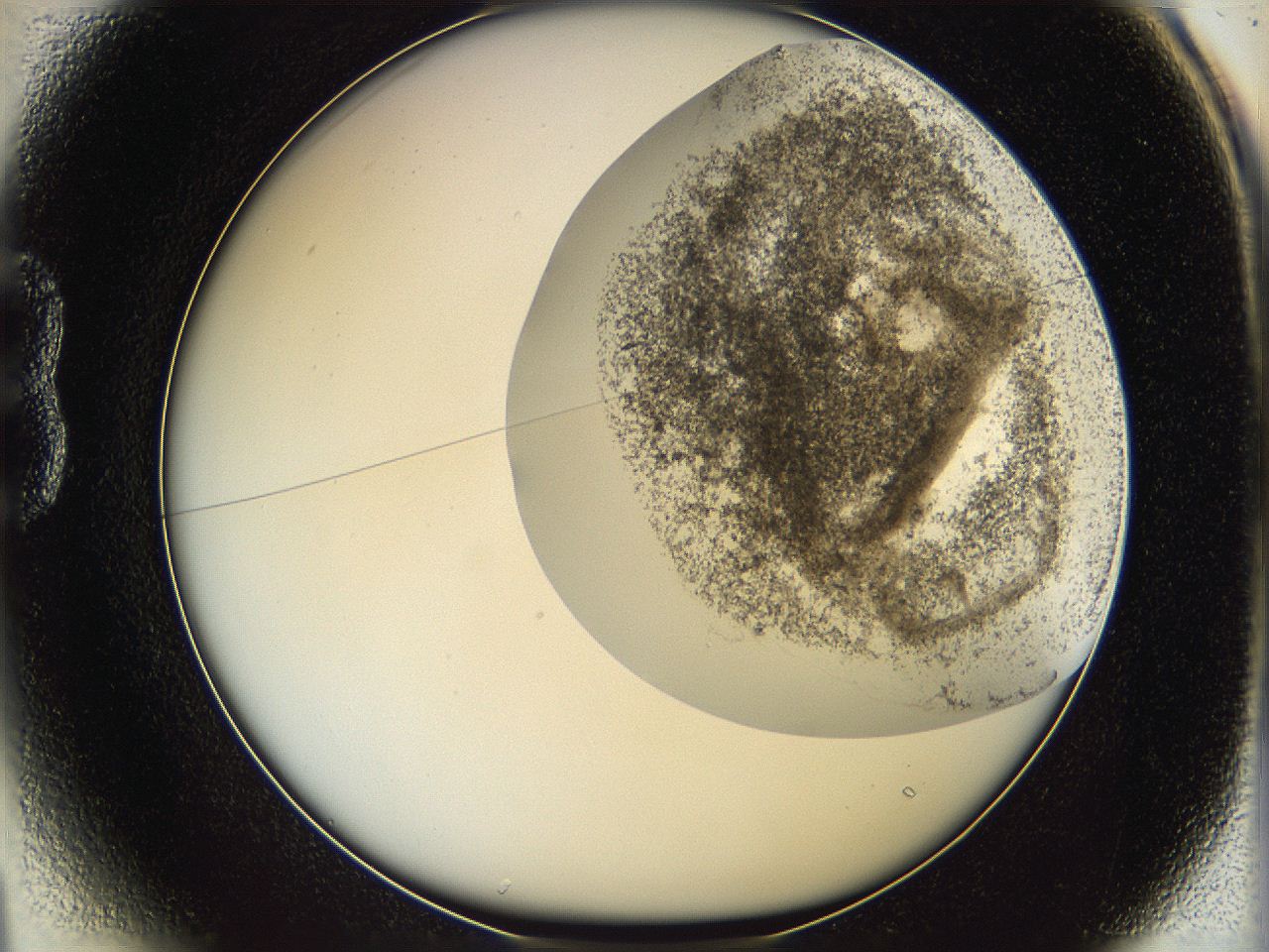 06bq_B1_ImagerDefaults_3.jpg