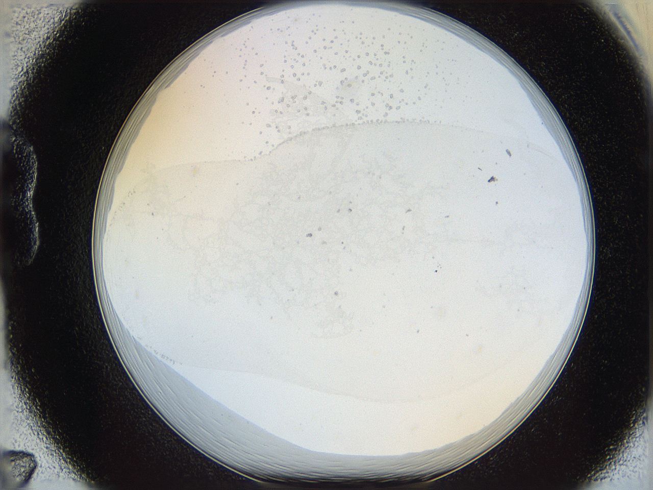 06bq_B7_ImagerDefaults_1.jpg