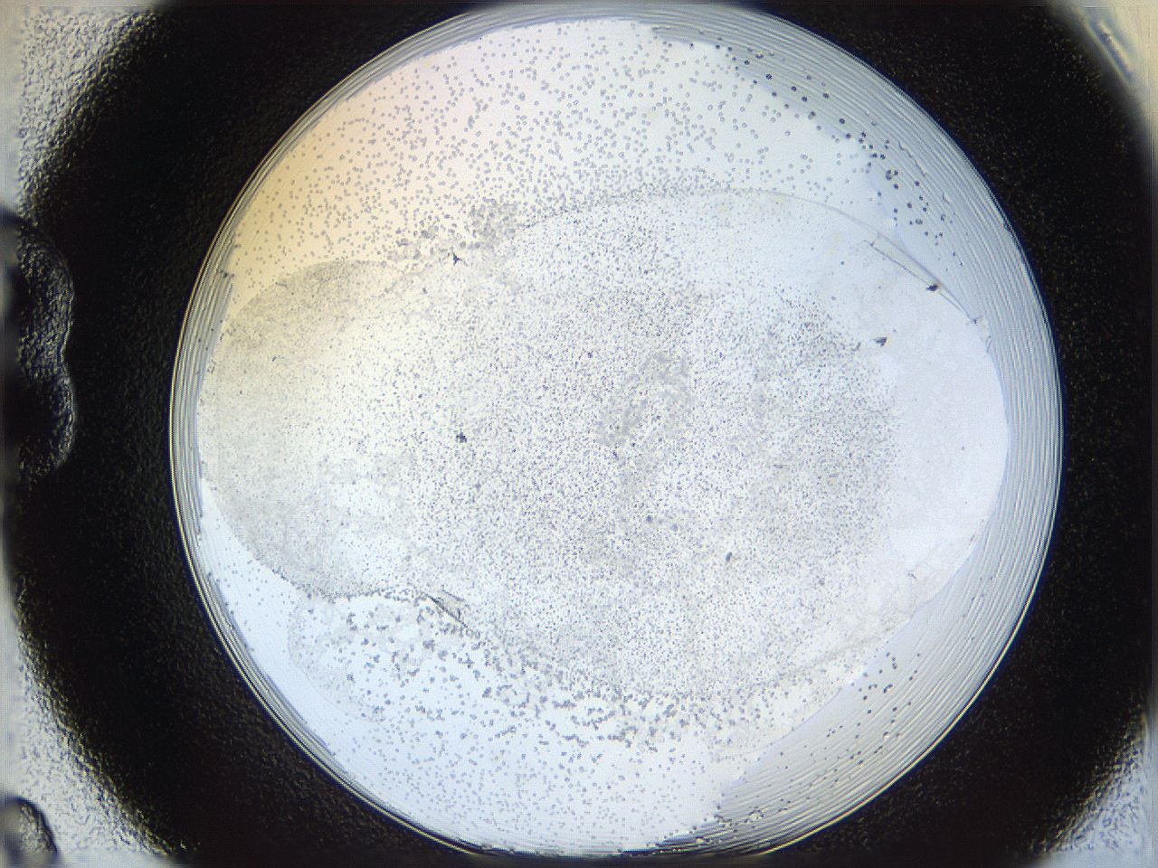 06bq_B8_ImagerDefaults_6.jpg