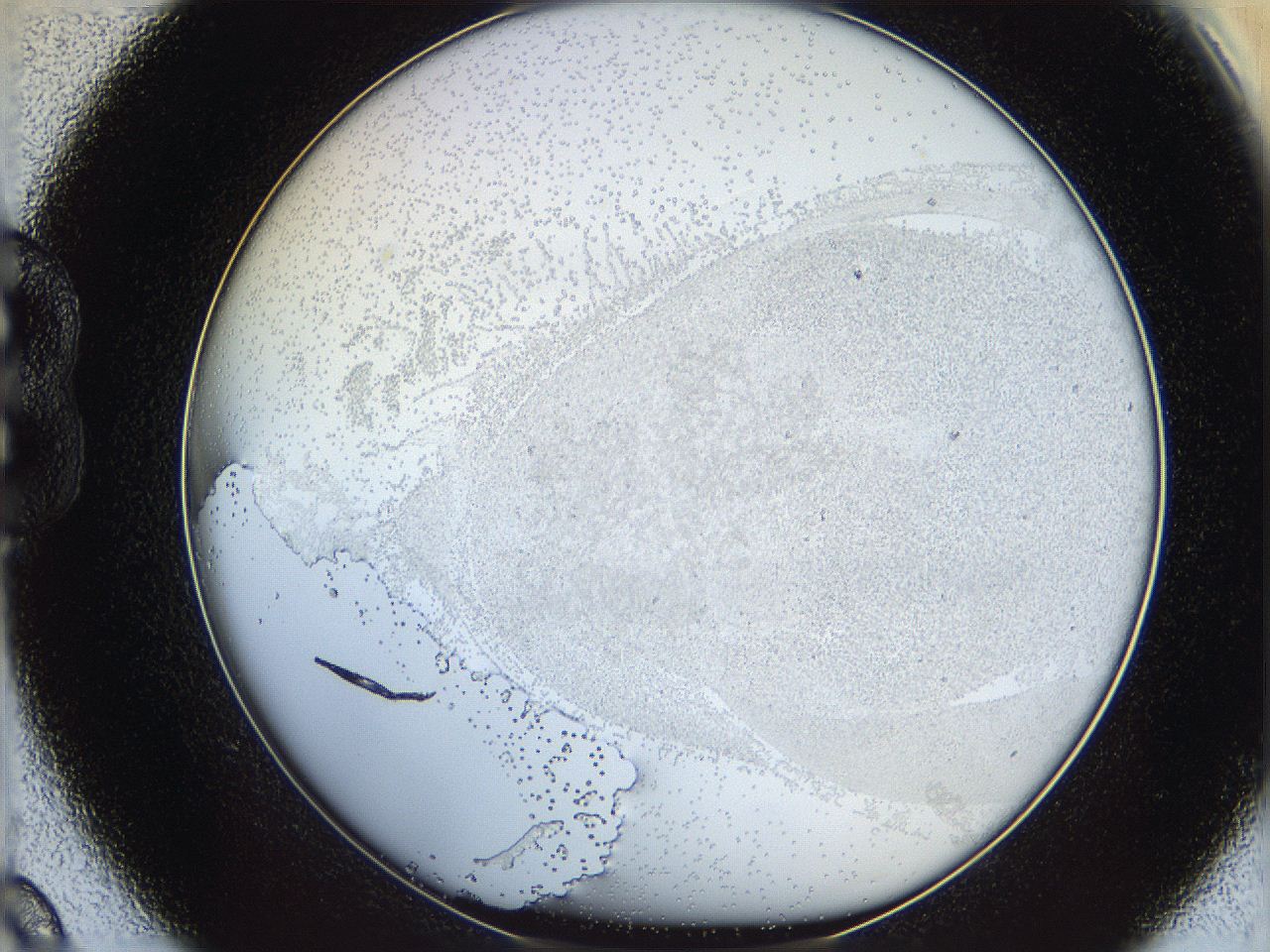 06bq_B9_ImagerDefaults_0.jpg