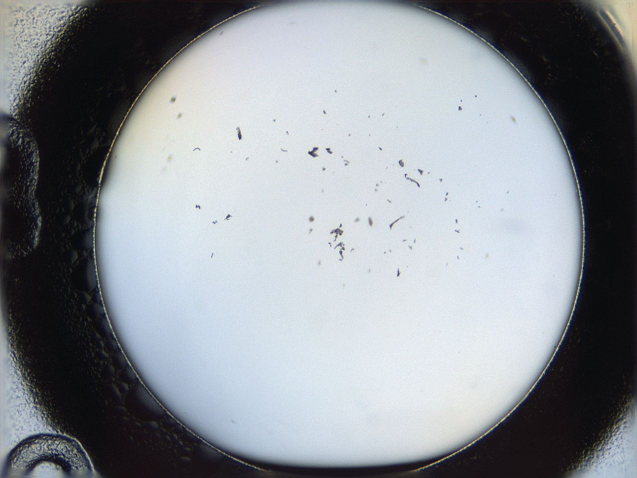 06bq_B10_ImagerDefaults_1.jpg