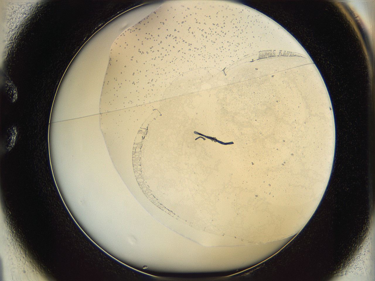 06bq_C1_ImagerDefaults_1.jpg