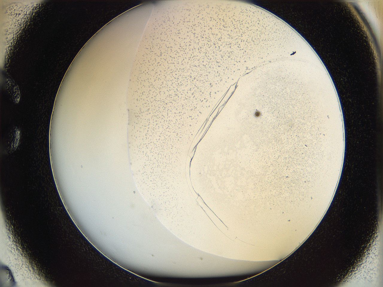 06bq_C2_ImagerDefaults_1.jpg