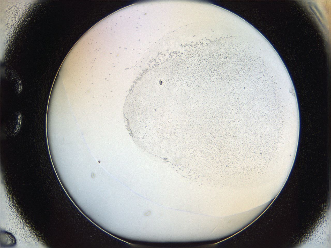 06bq_C6_ImagerDefaults_0.jpg