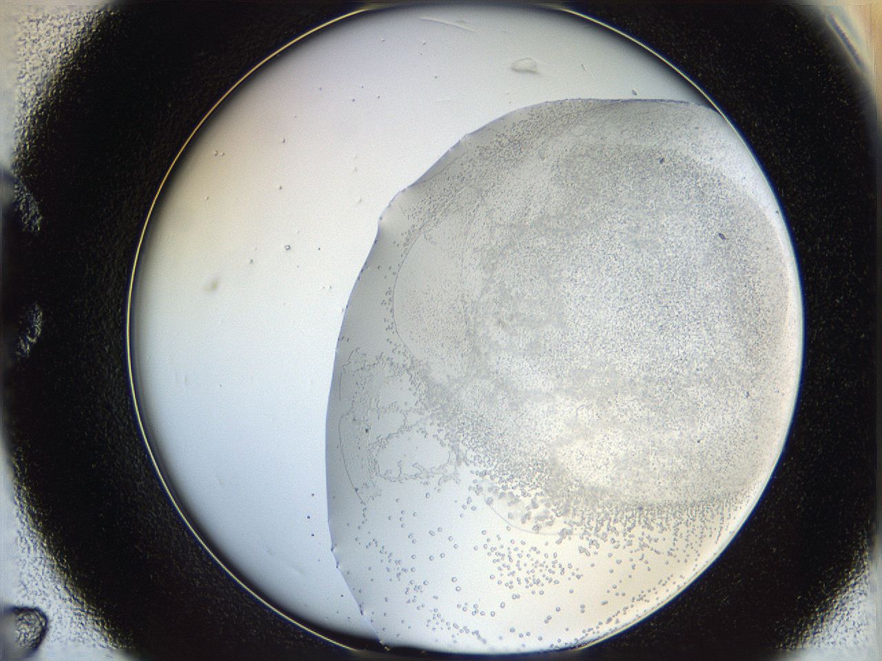 06bq_C7_ImagerDefaults_2.jpg