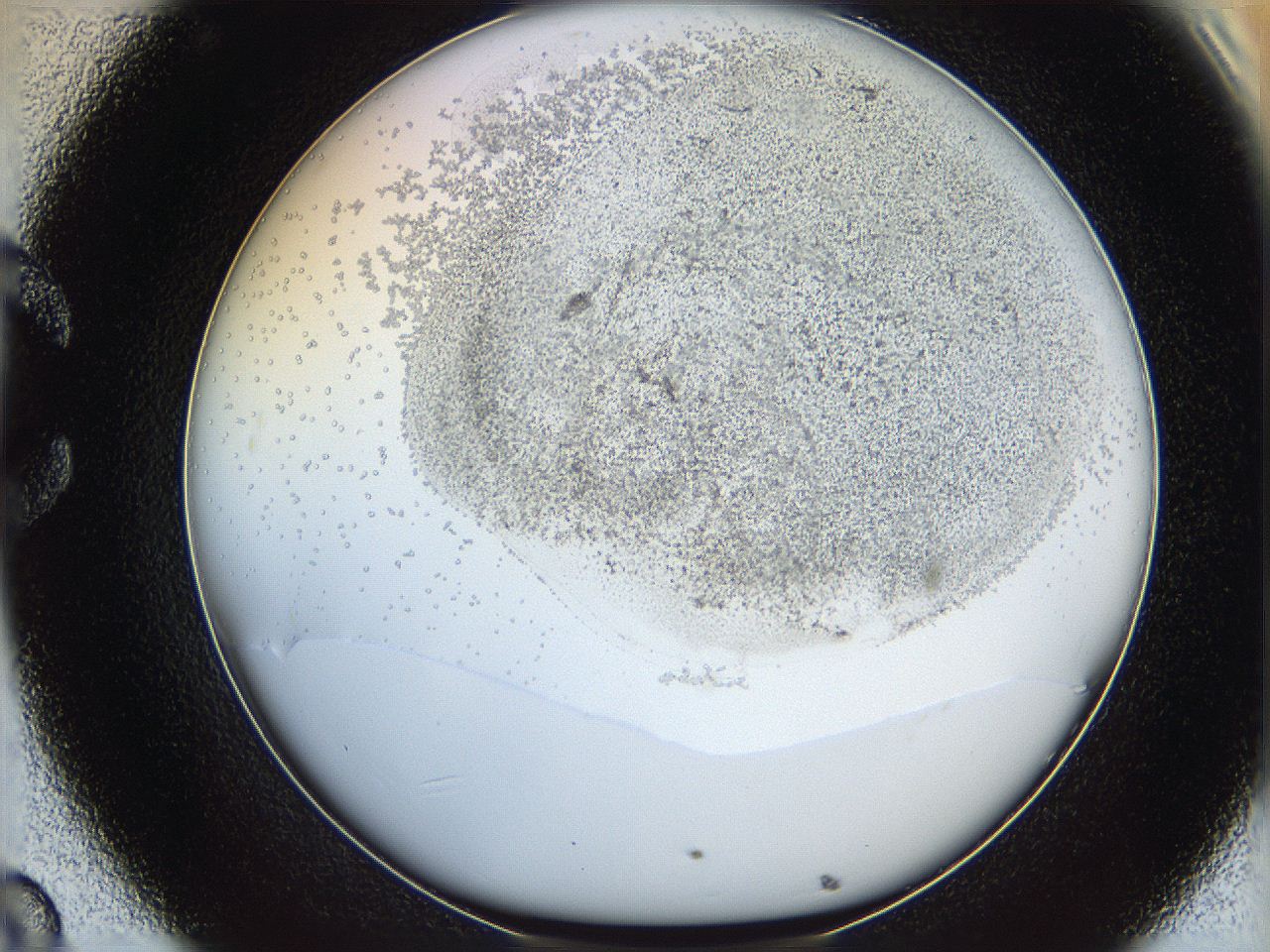 06bq_C8_ImagerDefaults_5.jpg