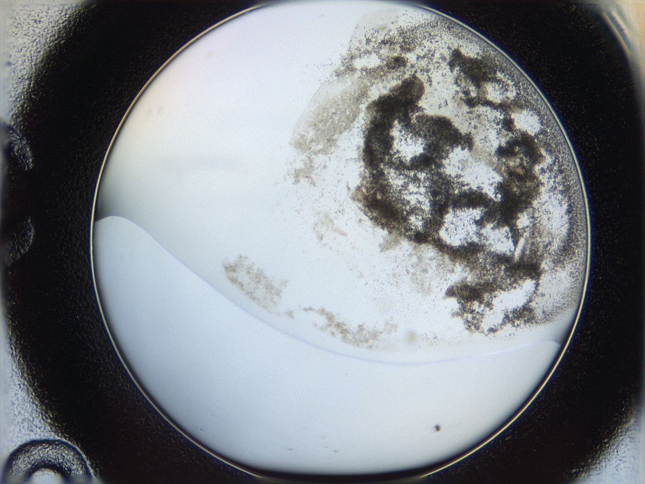 06bq_C10_ImagerDefaults_3.jpg