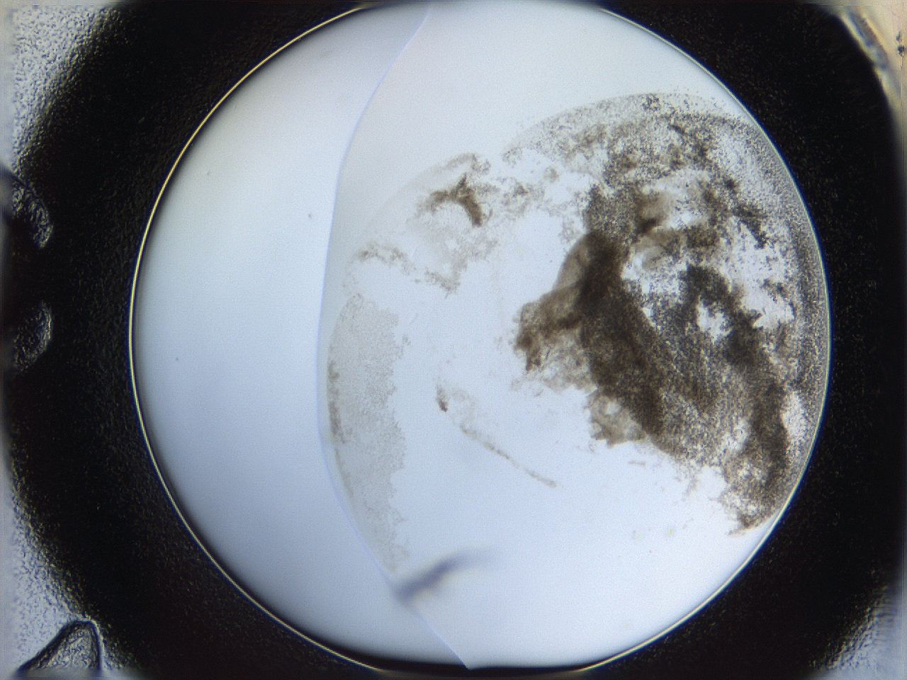 06bq_C11_ImagerDefaults_3.jpg