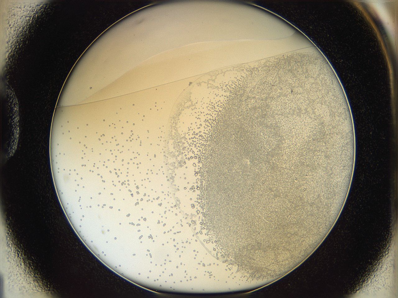 06bq_D1_ImagerDefaults_5.jpg