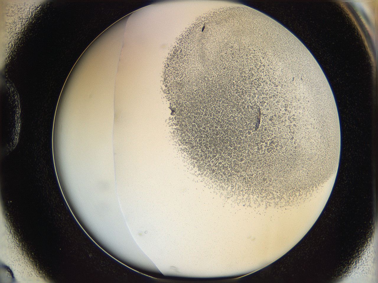 06bq_D2_ImagerDefaults_3.jpg