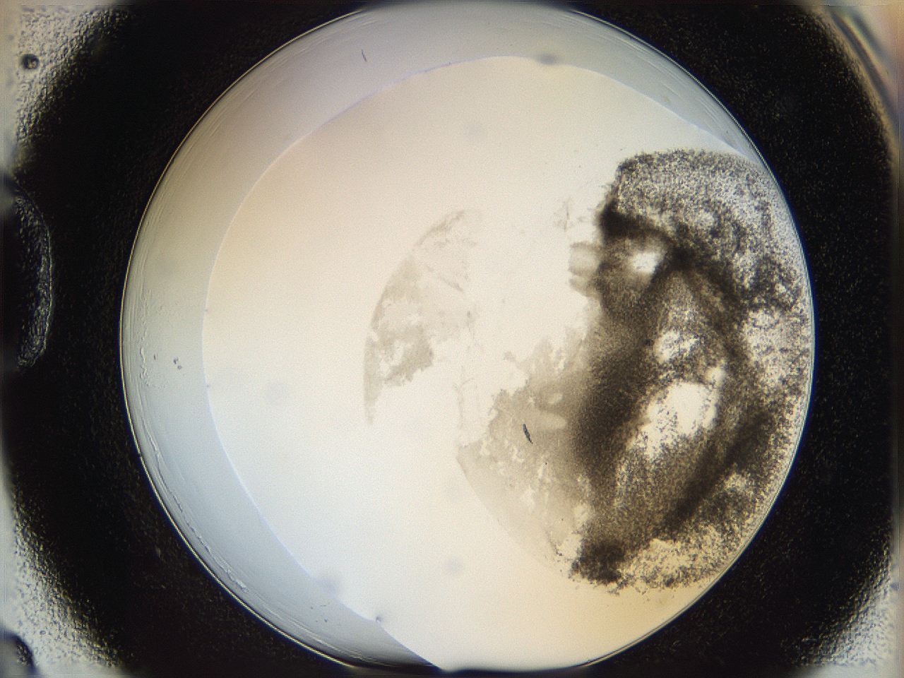 06bq_D3_ImagerDefaults_3.jpg