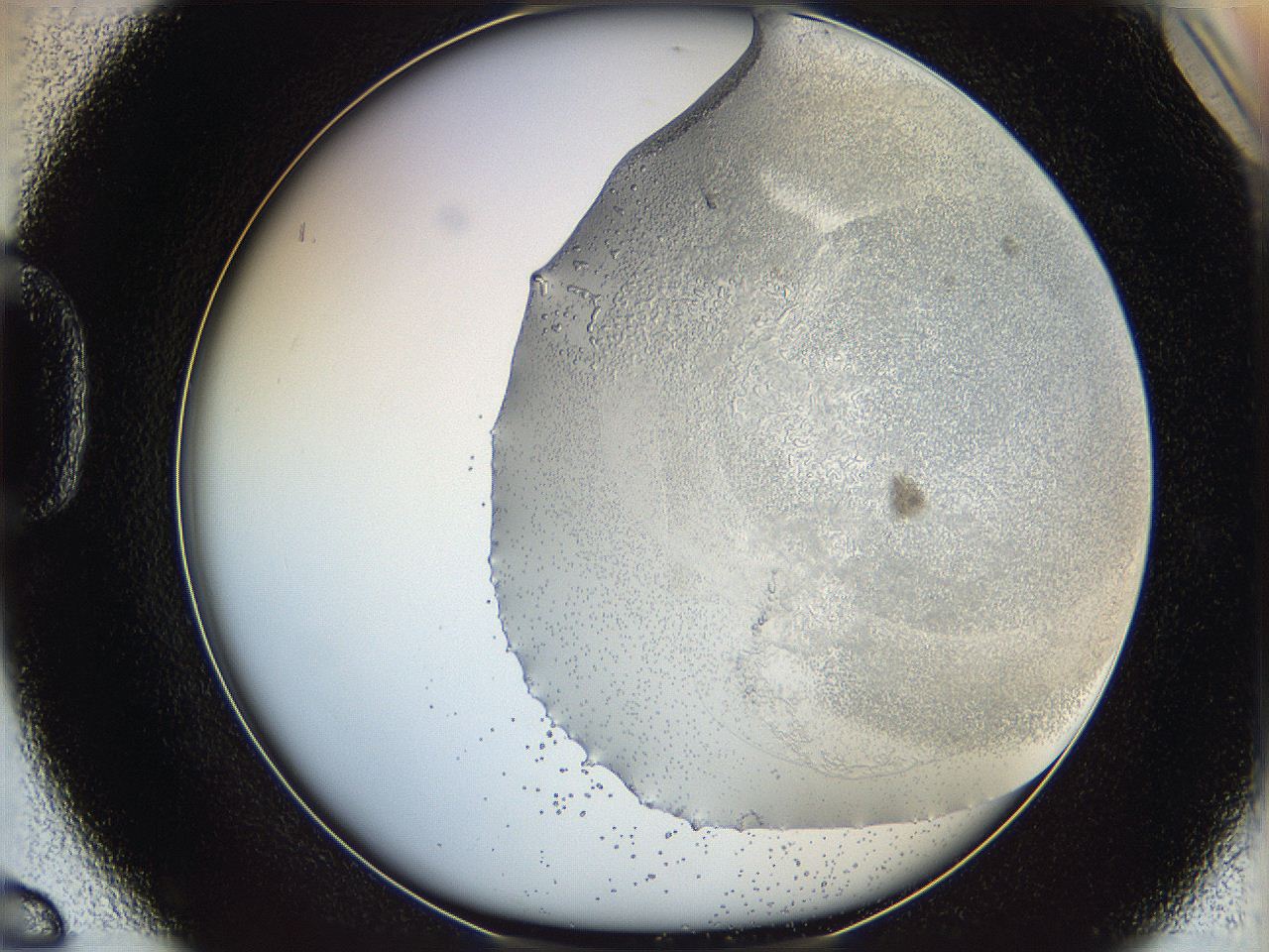 06bq_D6_ImagerDefaults_5.jpg