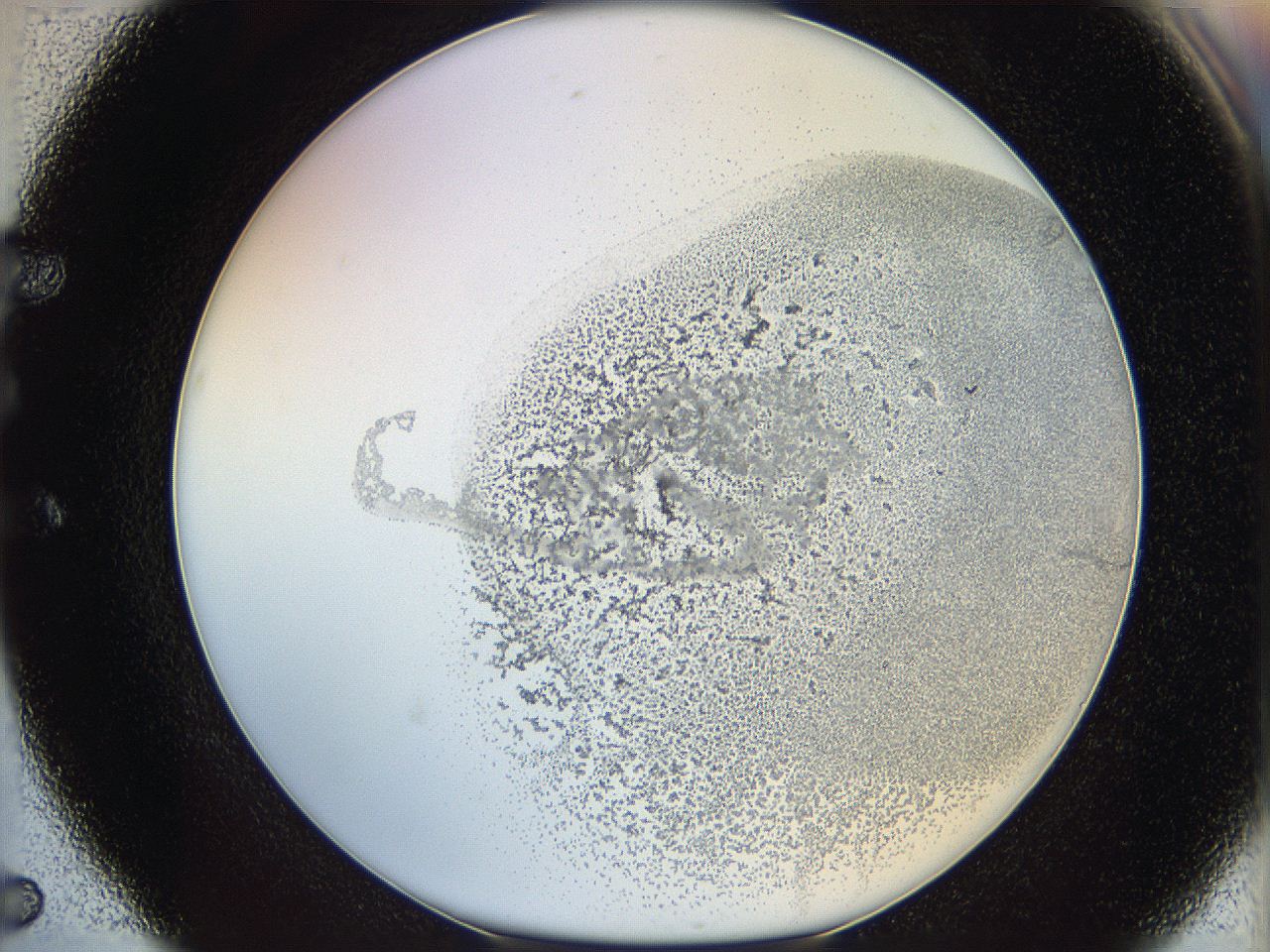 06bq_E5_ImagerDefaults_3.jpg