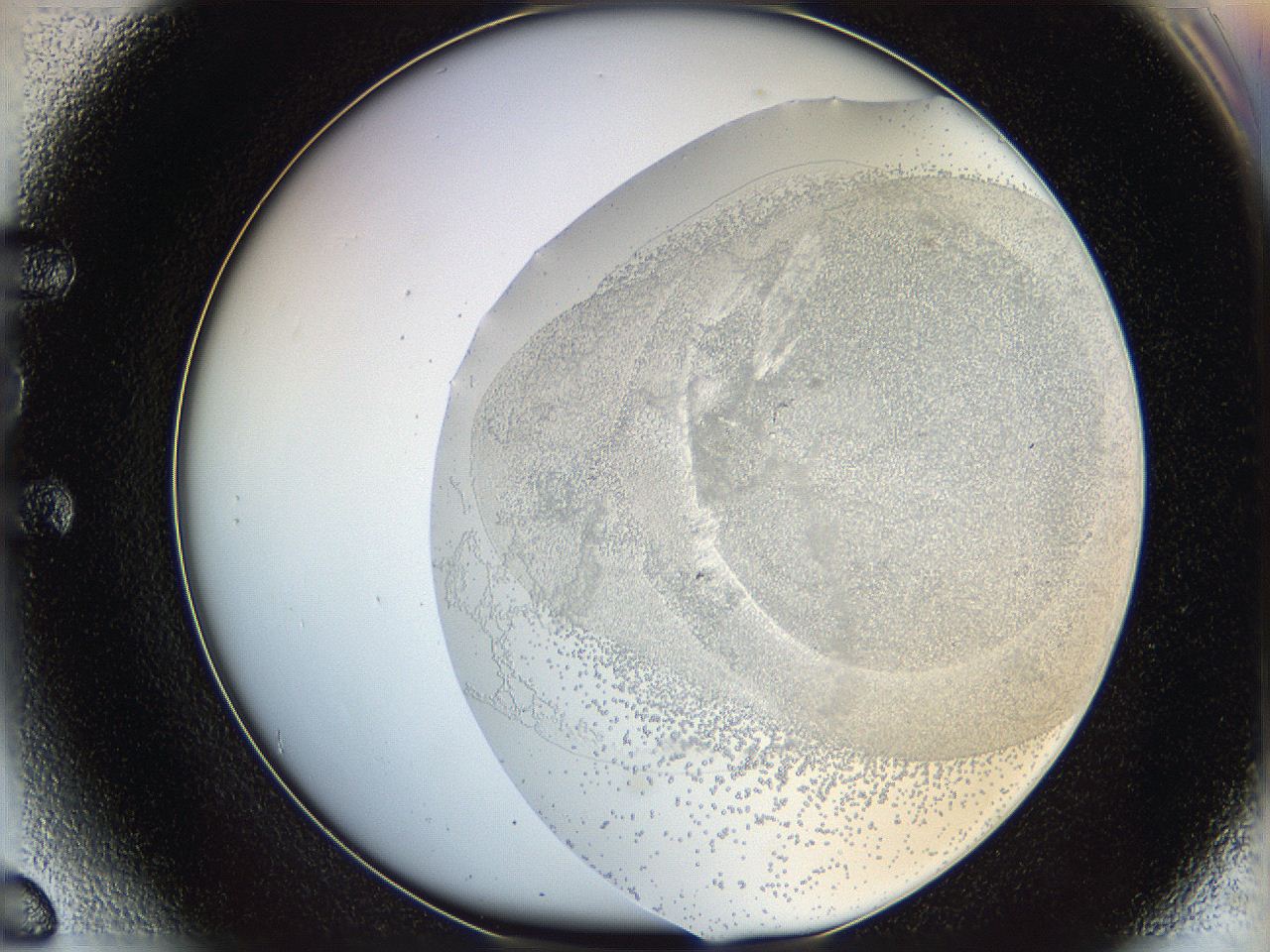 06bq_E6_ImagerDefaults_5.jpg