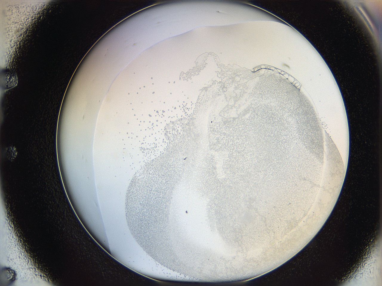 06bq_E7_ImagerDefaults_5.jpg